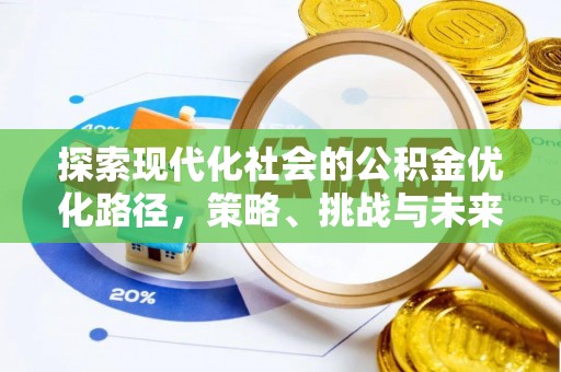 马尾探索现代化社会的公积金优化路径，策略、挑战与未来展望